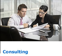 Organizational Consulting